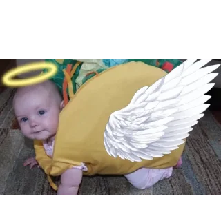 Стикер Тако реб - 5