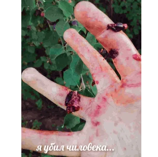 Sticker Лучшие стикеры - 7