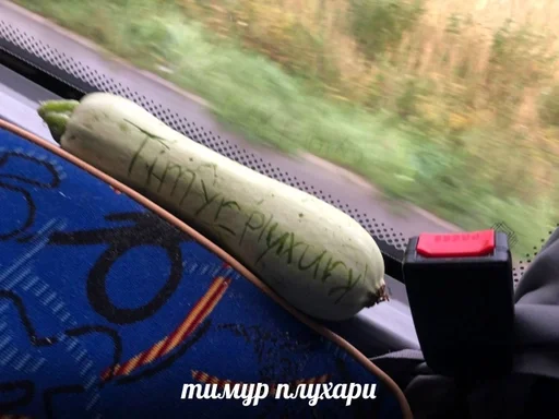 Sticker ариша пися :: @fStikBot - 3