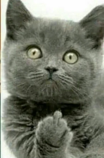 Sticker Санёк_Огонёк - 8