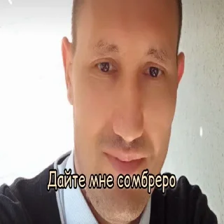 Sticker Киски - 8