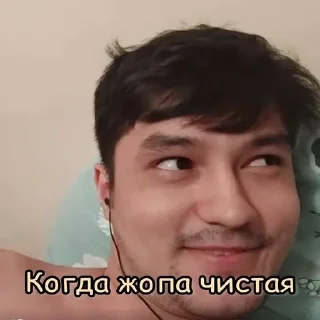 Sticker Киски - 10