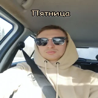 Sticker Киски - 6