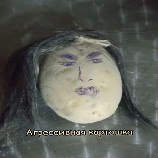 Sticker Киски - 0