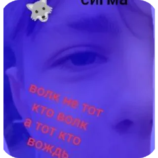 Sticker Тапки - 10