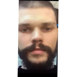 Sticker Таракан 2 : Восхождение 🪳 - 7