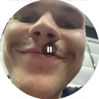 Sticker Таракан🪳 - 1