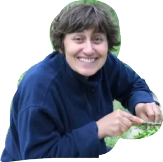 Стикер Gymnasia TARASOVKA - 7