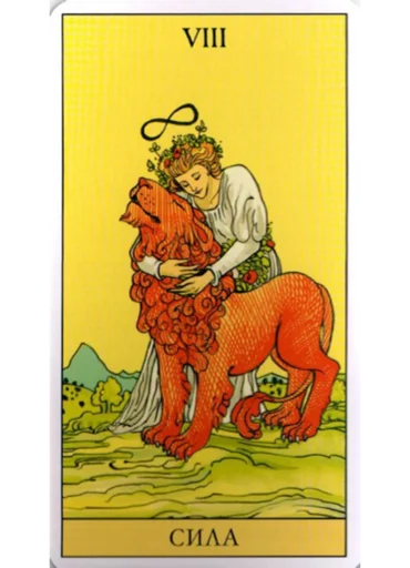 mammal animal drawing