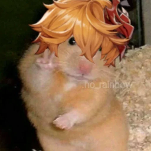 animal mammal hamster