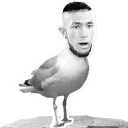 Sticker JAGO_BROTHERS - 9