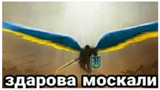 птица крыло скриншот