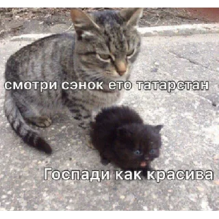 Стикер Tatary_zdes’ - 7