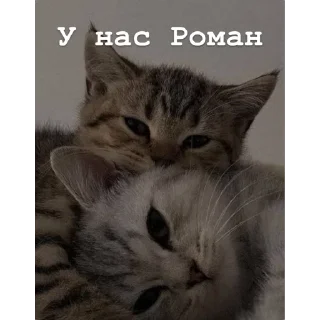 Sticker Татьяна❤️ - 4