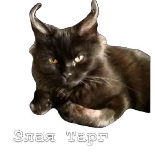 Sticker Татьяна❤️ - 3