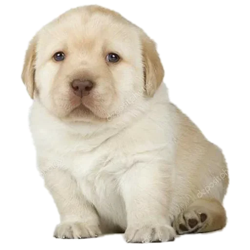 Sticker TcfEHi_by_stickers_stealer_bot - 1