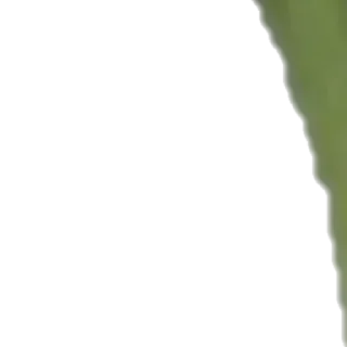 Стикер Больше стиков тут: @stikery4 - 3