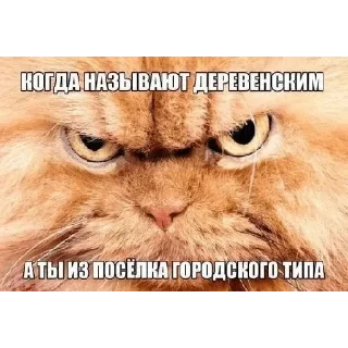 Стикер Больше стиков тут: @stikery4 - 2