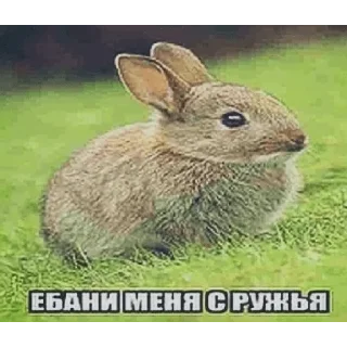 Стикер Больше стиков тут: @stikery4 - 10