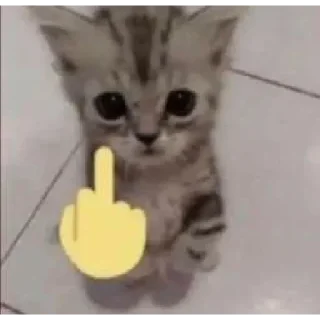 Стикер Больше стиков тут: @stikery4 - 8