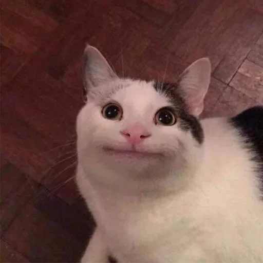 🦄 Каталог 👉 @WeStickerbot 👈 - 