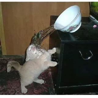 Sticker 🦄 Каталог 👉 @WeStickerbot 👈 - 8