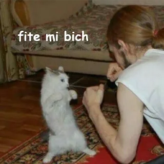 Sticker 🦄 Каталог 👉 @WeStickerbot 👈 - 7