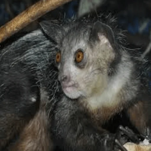 Sticker Щось міцне - 4