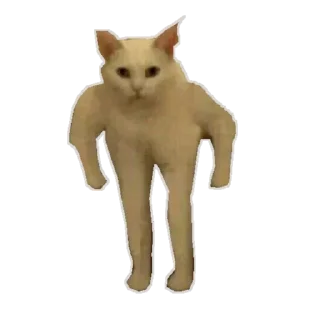 Sticker TimStick - 6