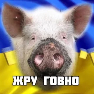 Sticker Team200war - 4