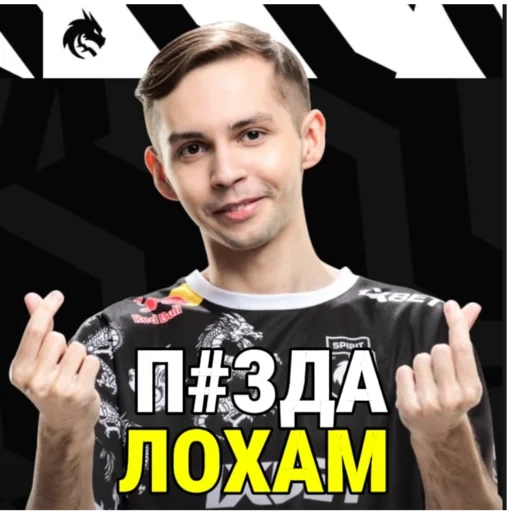 Sticker Team_Spirit9 - 1