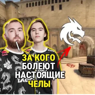 Sticker Team Spirit - 5