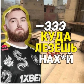 Sticker Team Spirit - 2