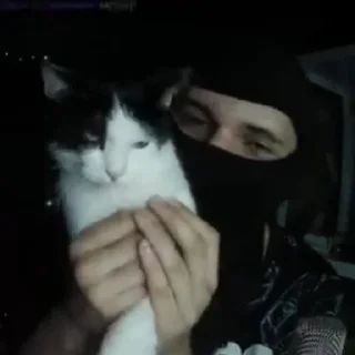 Sticker Рама715тим - 2