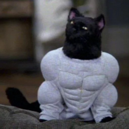 животное кошки малого и среднего размера млекопитающее