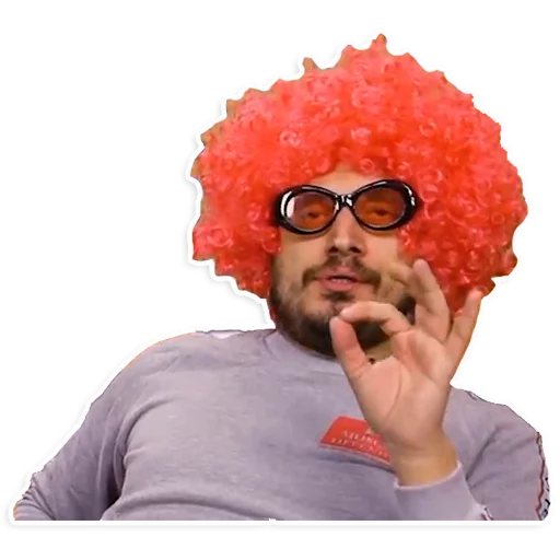 person human face hairpiece