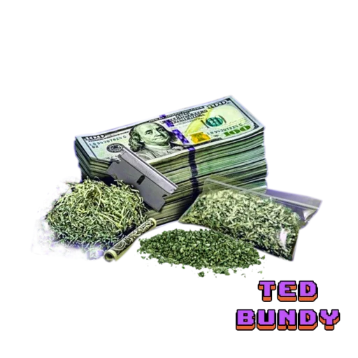 Sticker Ted Bundy - 3