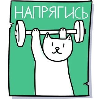 Стикер Teddy @SbornikStickers - 1