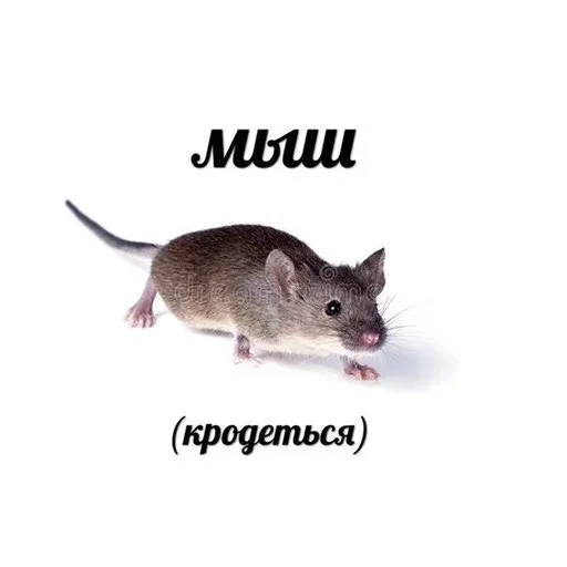 Стикер helpmeVania - 0