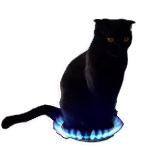 Sticker TelcoChatStickers - 5