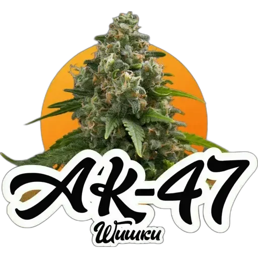 Sticker TEMA SHOP - 11