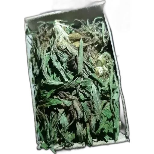 Sticker TEMA SHOP - 1