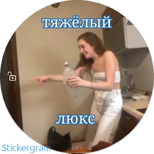 Стикер TemshikDV - 1