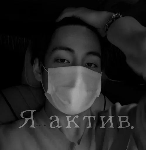 Teo teddy bear :: @fStikBot - человеческое лицо