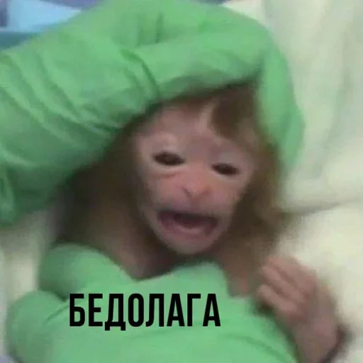 Sticker Terpila02 - 1