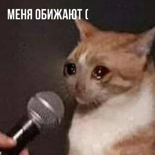 Sticker Terpila02 - 1