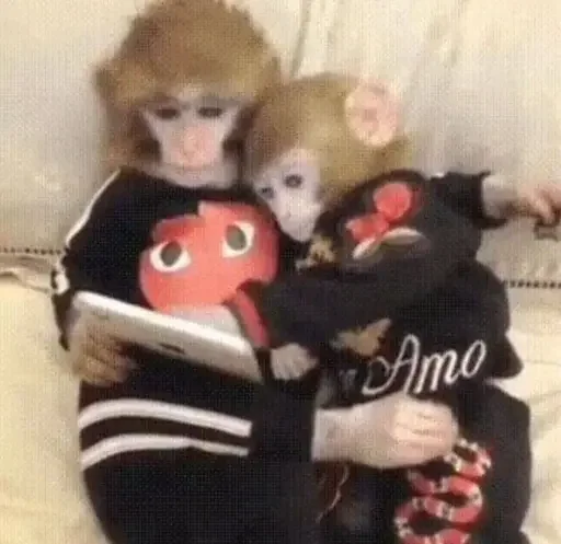 Sticker Terpila02 - 1