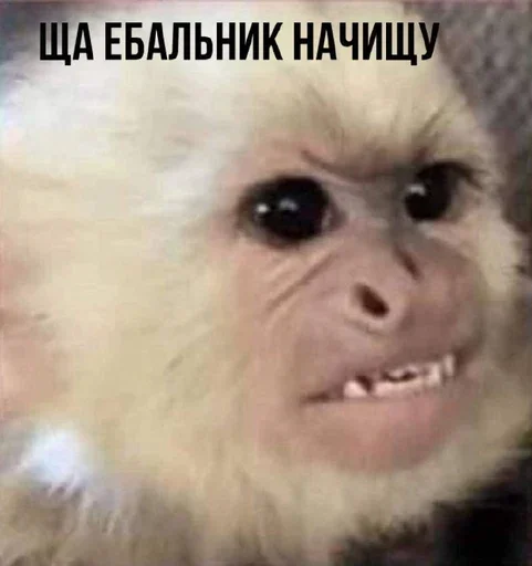 Sticker Terpila02 - 1