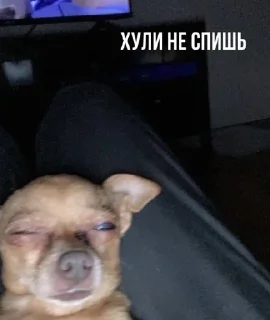 Sticker терпилыoffc - 2