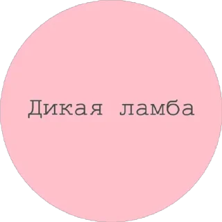 Стикер 😂New Phrases - 1